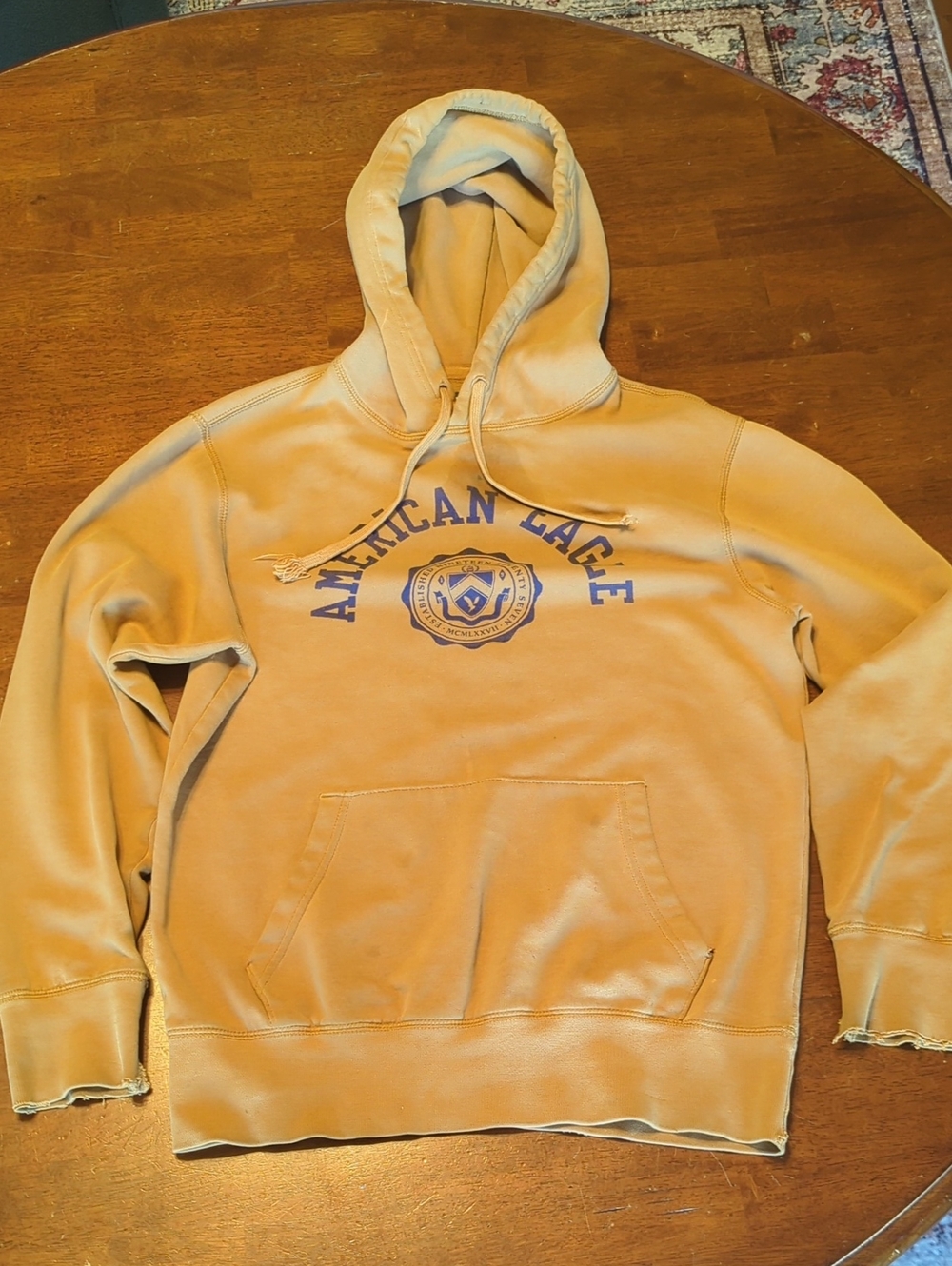 American Eagle Outfitters Beige/Tan Pullover Hoodie with Navy Crest